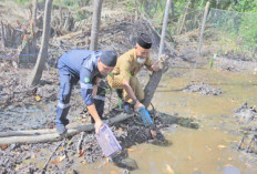 PT Timah Gairahkan Perekonomian Masyarakat