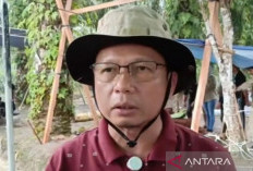 Apresiasi Sapi Kurban Bantuan Presiden