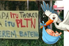 Ternyata, PLTN di Babel Masih 'Haw-Haw', 'Belum Beranak Sudah Ditimang!'