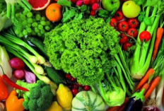 6 Jenis Makanan yang Dianjurkan untuk Ibu Hamil: Penting Bagi Kesehatan dan Janin