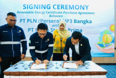 PLN Babel dan PT MSP Perkuat Komitmen Energi Bersih