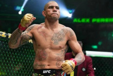 Pereira Tantang Usyk 