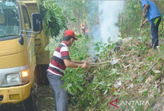 Bersihkan Lingkungan Cegah Penyebaran Penyakit