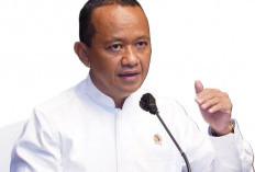 Rencana Stop Eksport Timah Dimatangkan!