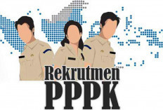 Ini Jadwal Resmi Pendaftaran PPPK