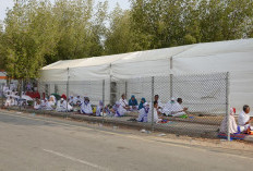 Jamaah Wanita Disarankan Pakai Diaper saat Wukuf, Demi Kebersihan dan Kenyamanan