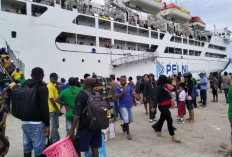 BPS: Penumpang Angkutan Laut Babel Berkurang