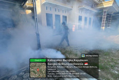 Kasus DBD Meningkat Satu Orang Meninggal Dunia