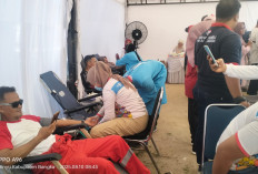 Donor Darah PMI Bangka dan PT Timah di Belinyu Hasilkan 71 Kantong Darah