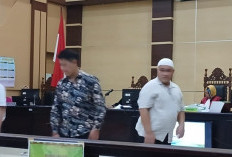 Mantan Kadis Salahkan Mardiansyah, Lalu Terdakwa Salahkan Polhut, Jadi Salah Siapa, Ayo?