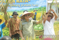 Wabup Yus Derahman Serahkan Pupuk Subsidi ke Petani Tempilang