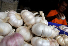 Pemprov Tambah Pasokan Bawang Putih dan Telur Ayam Ras