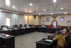 DPRD Babel Pertajam Raperda Pertambangan Mineral