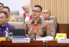 PLN Ajukan 3 Triliun PMN 2025 