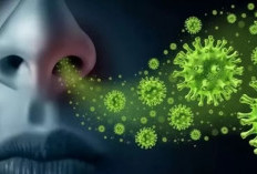  Babel Belum Ditemukan, Sumsel 5 Kasus, Awas Super Flu!