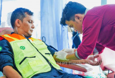 Donor Darah, Program Rutin PT Timah