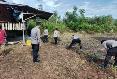 Polsek Mendo Barat Tanam Buah dan Ubi Thailand