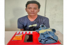 Bandar Narkoba Ditangkap, Polisi Sita 9,78 Gram Ganja