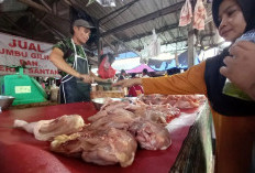 Harga Daging di Pangkalpinang, Turun?