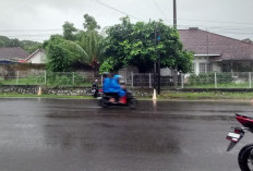 Gelegar Petir Hingga Hujan Ringan Berpotensi di Pangkalpinang