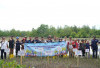 PT Timah Tanam 5000 Bibit Mangrove