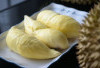 Durian Beku Indonesia Resmi Masuk Pasar China