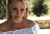 Britney Spears mengaku bersalah