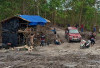 Hutan Produksi Gunung Muda Luluh Lantak Dihajar Tambang, Ada 2 Cukong Terseret?
