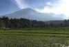  Catatan 10 Gunung Paling Angker di Indonesia, Pendaki Alami Kejadian Janggal 
