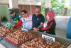 Program MBG di Bangka Butuh 98 Ribu Butir Telur Ayam Per bulan