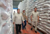 Ekspor Beras Peluang Serap Surplus RI