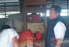 Bulog Belitung Terima Pasokan 98 Ribu Liter Minyakita