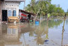 Banjir Rob Masih Terus Mengintai, Waspada Pesisir Babe