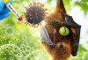 Virus Nipah Belum Masuk RI?
