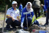 PLN Babel Kelola Kawasan Pesisir Kritis
