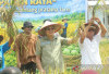 Wabup Yus Derahman Serahkan Pupuk Subsidi ke Petani Tempilang